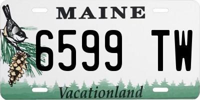 ME license plate 6599TW