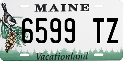 ME license plate 6599TZ