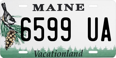 ME license plate 6599UA
