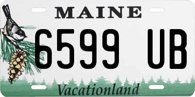ME license plate 6599UB