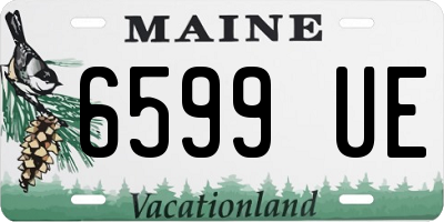 ME license plate 6599UE