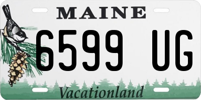 ME license plate 6599UG