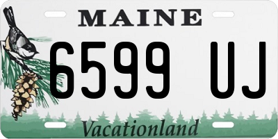 ME license plate 6599UJ