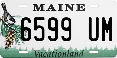 ME license plate 6599UM