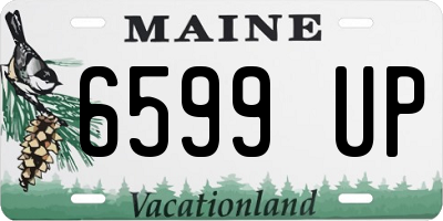 ME license plate 6599UP