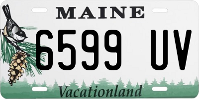 ME license plate 6599UV