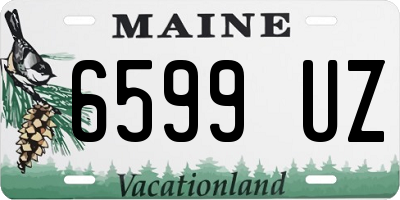 ME license plate 6599UZ