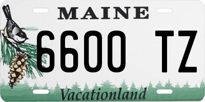 ME license plate 6600TZ
