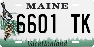 ME license plate 6601TK