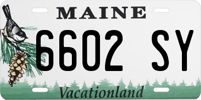 ME license plate 6602SY