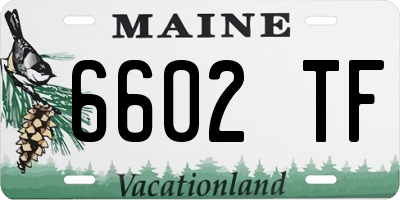 ME license plate 6602TF