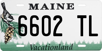 ME license plate 6602TL