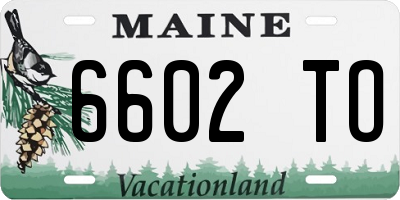 ME license plate 6602TO