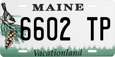 ME license plate 6602TP