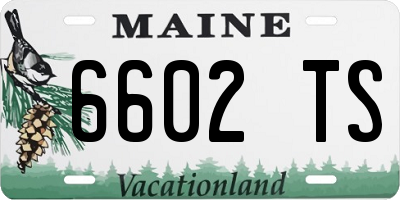 ME license plate 6602TS