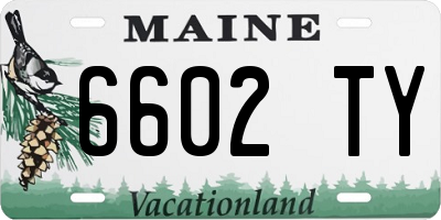 ME license plate 6602TY