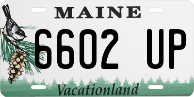 ME license plate 6602UP