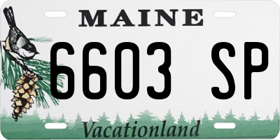 ME license plate 6603SP