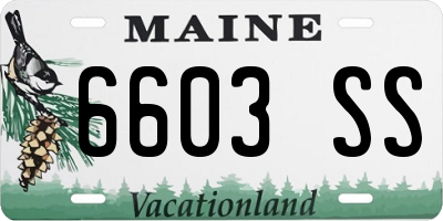 ME license plate 6603SS