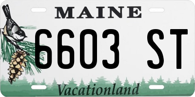 ME license plate 6603ST