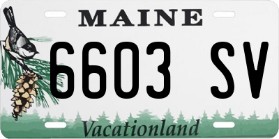 ME license plate 6603SV