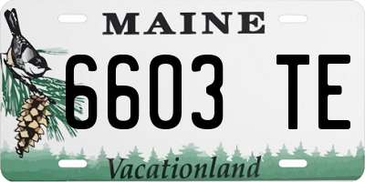 ME license plate 6603TE