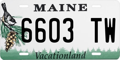 ME license plate 6603TW