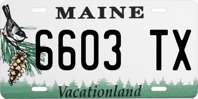 ME license plate 6603TX