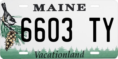 ME license plate 6603TY