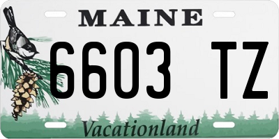 ME license plate 6603TZ