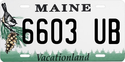 ME license plate 6603UB
