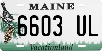 ME license plate 6603UL