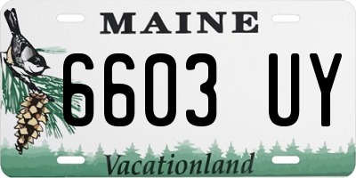 ME license plate 6603UY