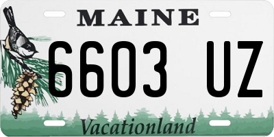 ME license plate 6603UZ