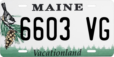 ME license plate 6603VG