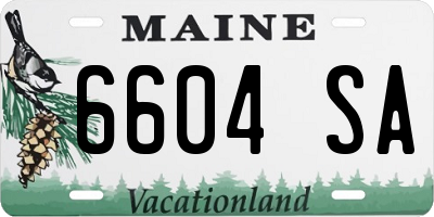 ME license plate 6604SA