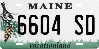 ME license plate 6604SD