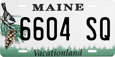 ME license plate 6604SQ