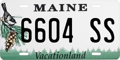ME license plate 6604SS