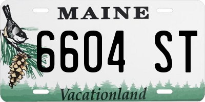 ME license plate 6604ST