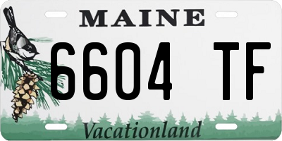 ME license plate 6604TF