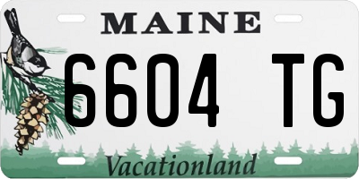 ME license plate 6604TG