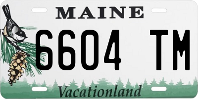 ME license plate 6604TM
