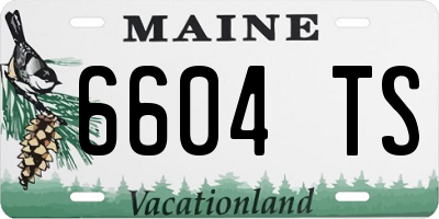 ME license plate 6604TS