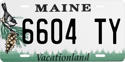 ME license plate 6604TY