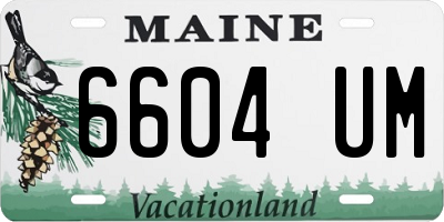 ME license plate 6604UM