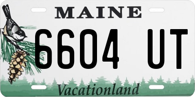 ME license plate 6604UT