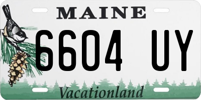 ME license plate 6604UY