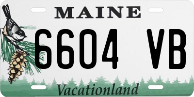 ME license plate 6604VB
