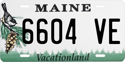 ME license plate 6604VE
